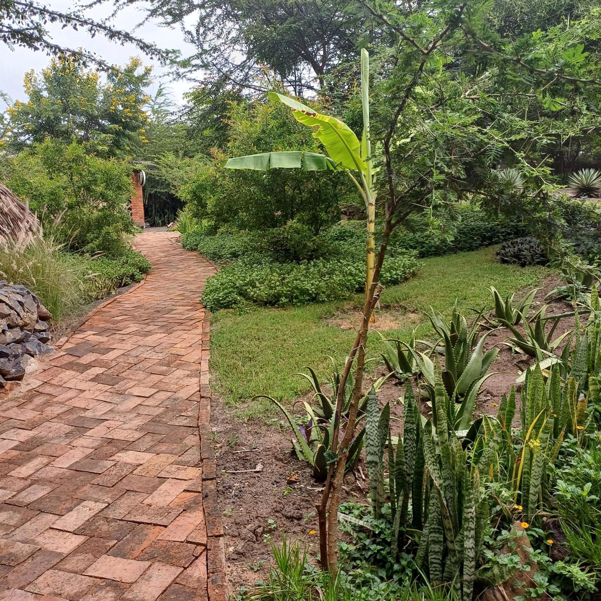 Kutoka Lodge 阿鲁沙 外观 照片