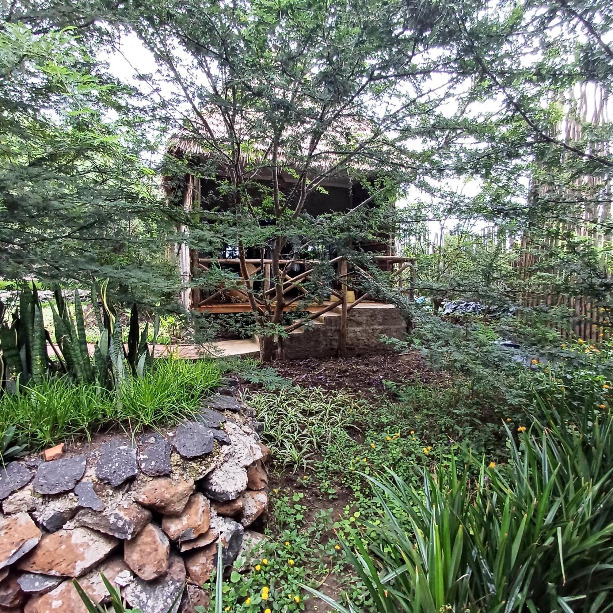 Kutoka Lodge 阿鲁沙 外观 照片